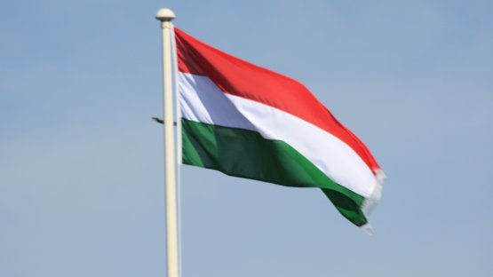 IAEA Expert Mission Reviews Hungary's Regulatory Framework for Nuclear Safety