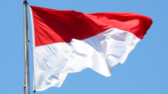 IAEA Mission Reviews Indonesia's Regulatory Framework for Nuclear and Radiation Safety