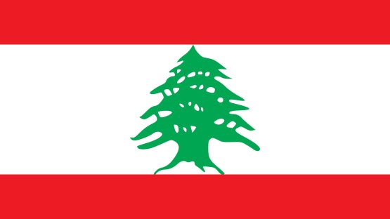 L’AIEA achève une mission consultative de sécurité nucléaire au Liban (en anglais)