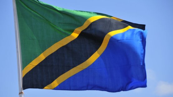 IAEA Mission Says Tanzania Faces Challenges in Radiation Safety Regulation
