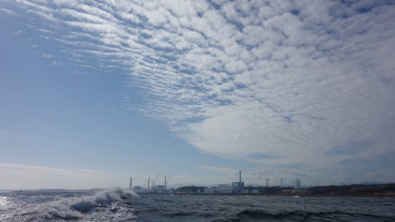 IAEA Finds Japanese Labs Reliable in Analysing Fish from Sea Near Fukushima