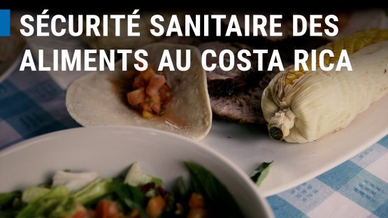 Sécurité sanitaire des aliments : exportations croissantes du Costa Rica