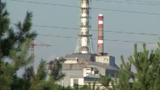 Chernobyl: Of Mice and Nature