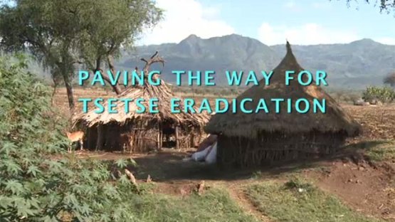 Paving the Way For Tsetse Eradication - Ethiopia's Journey
