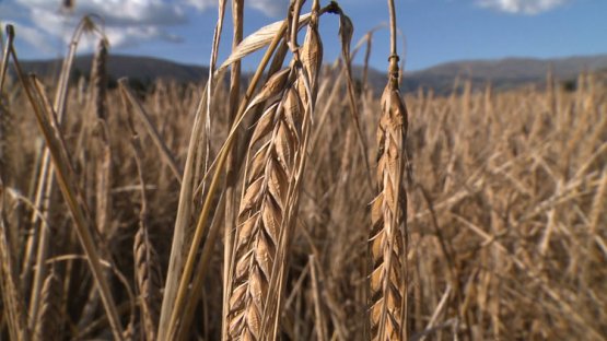 Farming in the High Andes of Peru
