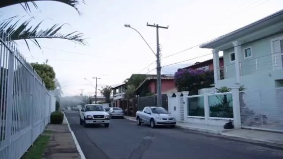 Zika Crisis – The IAEA Responds