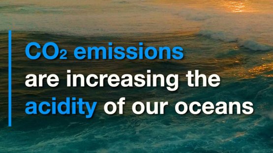 Les émissions de CO2 augmentent l'acidité des océans?(en anglais)??