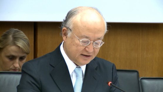 IAEA Director General Yukiya Amano on LEU Bank