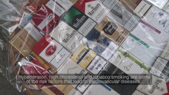Cardiovascular Diseases - A Major Challenge Worldwide 