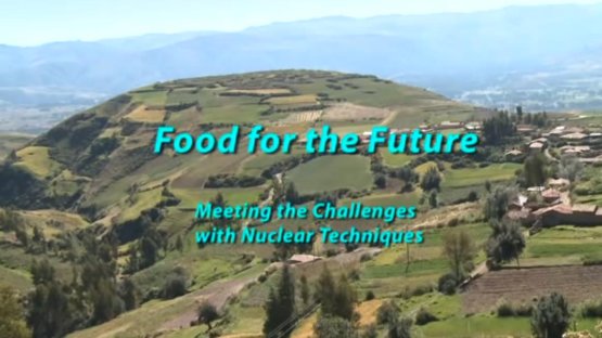 Food for the Future