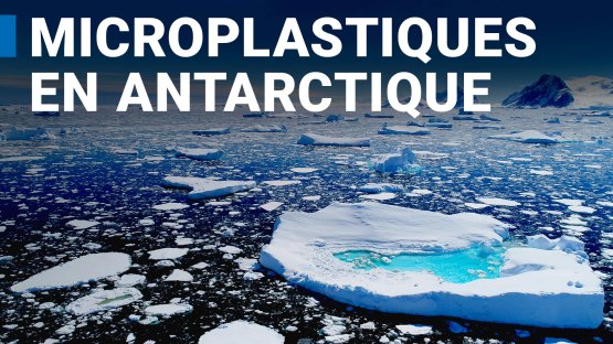 L’AIEA lance une étude sur les microplastiques en Antarctique