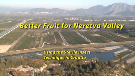 Better Fruit for Neretva Valley