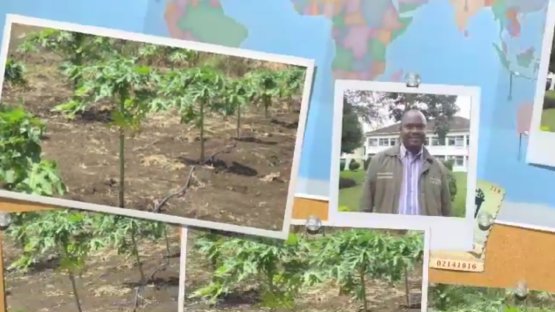 Experiences from IAEA Technical Cooperation Fellows