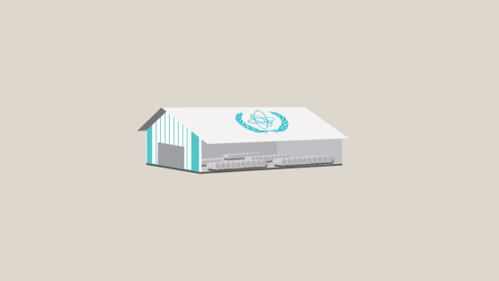 The IAEA LEU Bank