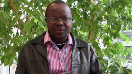 Interview with National Liaison Officers (NLO)
