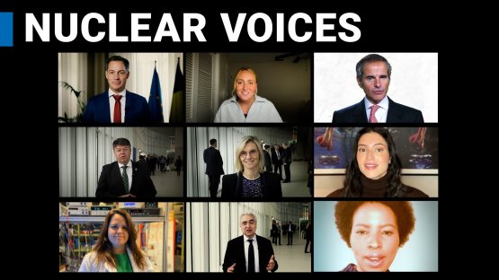 Les partisans du nucléaire veulent plus d’énergie d’origine nucléaire (en anglais)