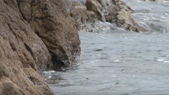 Nuclear Science for Sustainable Development Goals: Life Below Water