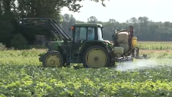 Proper Pesticide Use