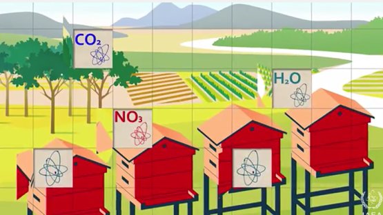 Ciencias nucleares para luchar contra el fraude alimentario