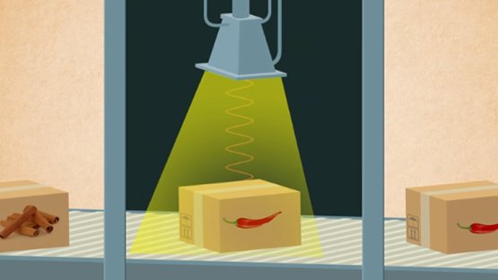 Ciencias nucleares en la irradiación de alimentos