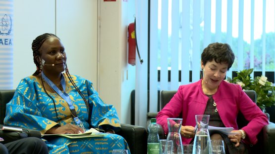 IAEA Event Emphasizes Gender Parity as Crucial for Innovation and Organizational Excellence