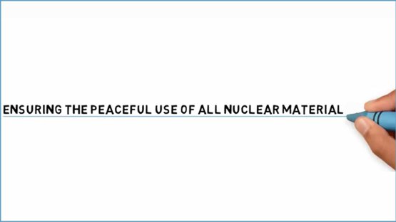 IAEA Safeguards in 2015