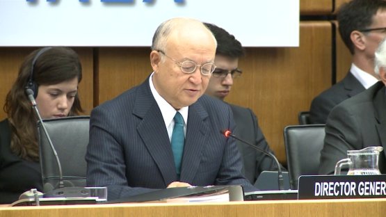 Director General's Statement on the DPRK