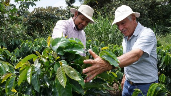 Tackling Coffee Disease with Nuclear Science 