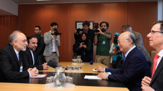 IAEA Director General Holds Talks with Iranian Vice President – Opening Remarks 