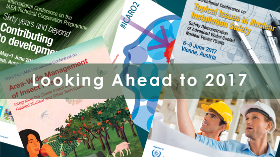 Looking ahead 2017