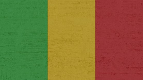 IAEA Assists Mali in Preparing Comprehensive National Nuclear Legislation