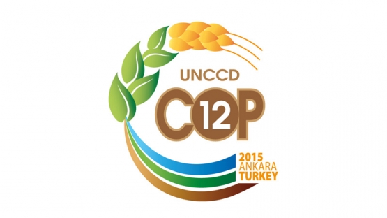 COP12