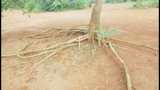 Soil erosion