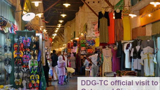 DDG-TC Official Visit to Qatar and Singapore