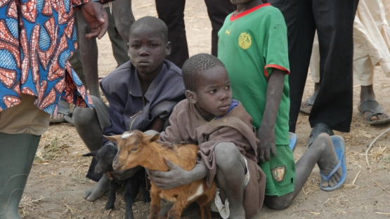 Cameroon1