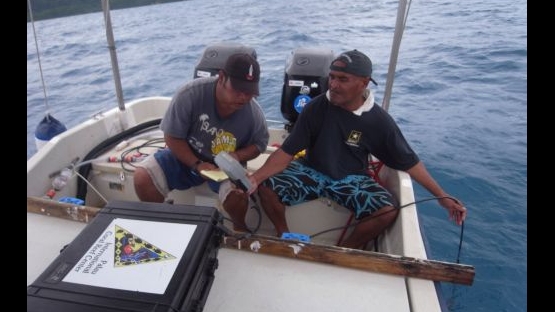 Palau postFukushima 2