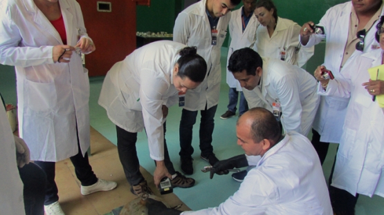 Participants at the workshop.