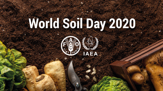 World Soil Day