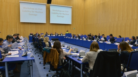 Workshop on Nuclear Liability 2015