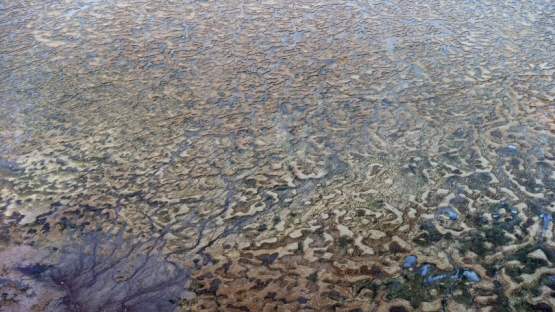 Save Every Drop: Kuwait Uses Isotope Hydrology to Track and Conserve Ground Water