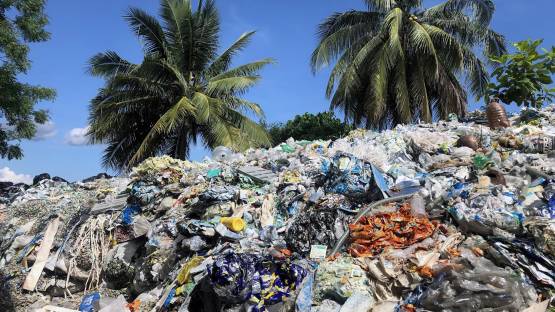 NUTEC Plastics: el papel de la irradiación en la transición a una economía circular (en inglés)