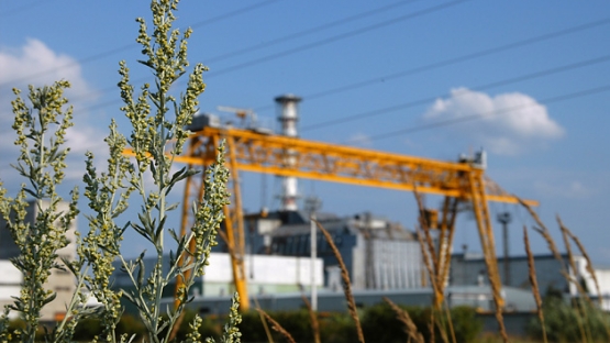 Revisiting Chernobyl: The Bitter and the Sweet - Part 1