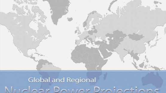 Nuclear Power Projections: Estimates for the Period up to 2030