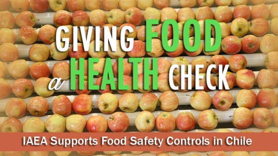 Giving Food a Health Check - IAEA Supports Food Safety Controls in Chile
