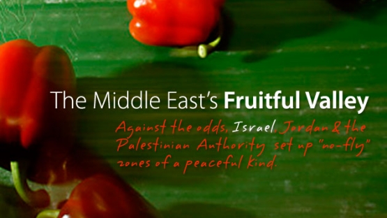 The Middle East’s Fruitful Valley - Israel