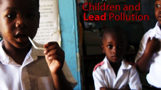 Toxic Playpens: Children and Lead Pollution