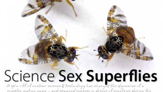 Science, Sex, Superflies