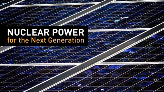 Nuclear Power for the Next Generation