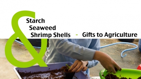 Starch,  Seaweed and Shrimp Shells - Gifts to Agriculture