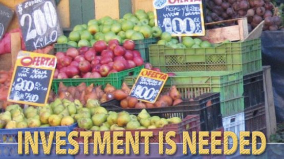 Seven Challenges for Food Security: Investment is Needed